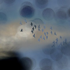 08. Tempus