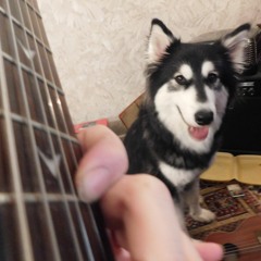 Xmass song just about done for shane to see