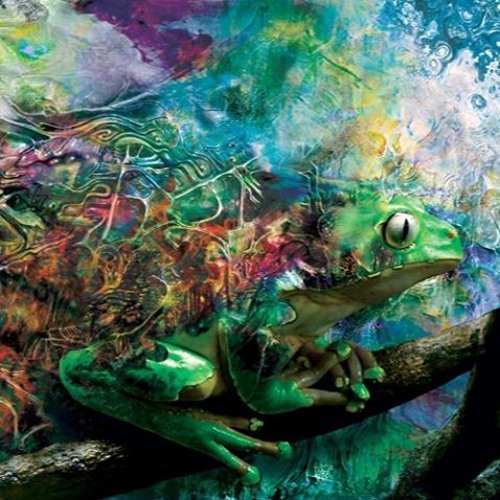 Aspects Of Nature Preview V/A - "KAMPU"by The Cure @ Random Records