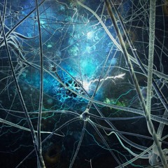 Dnb/Neuro Mix CVDP Bang Bang