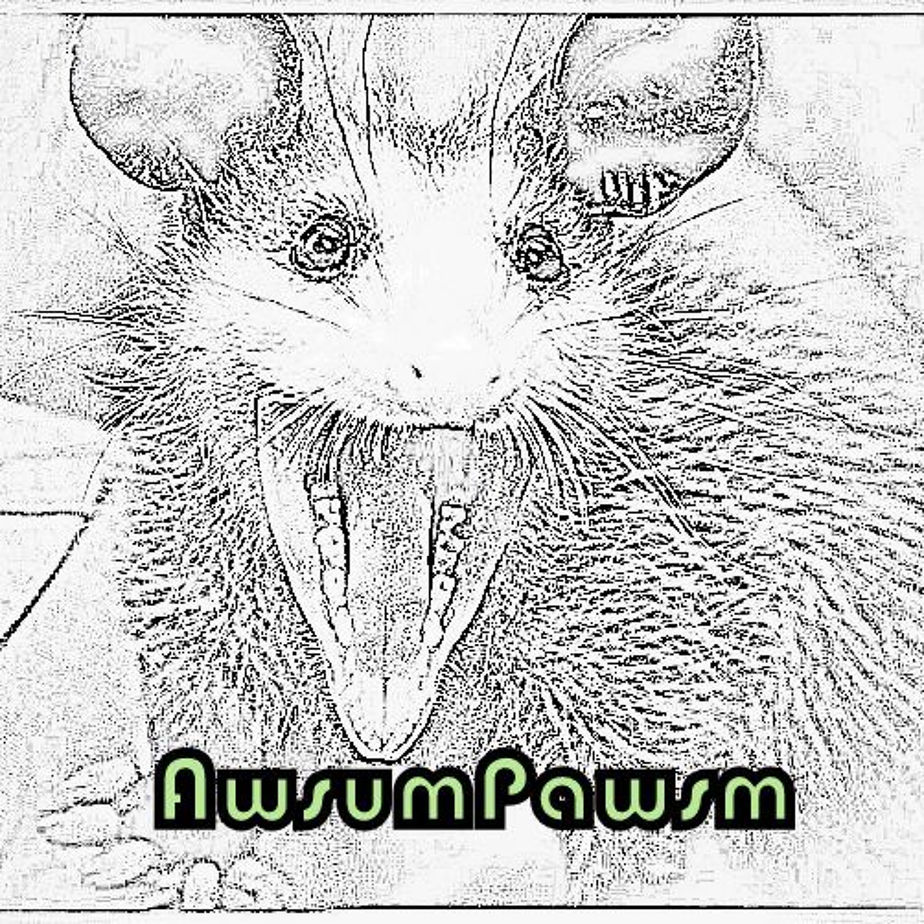AwsumPawsm/Soulhaus Records