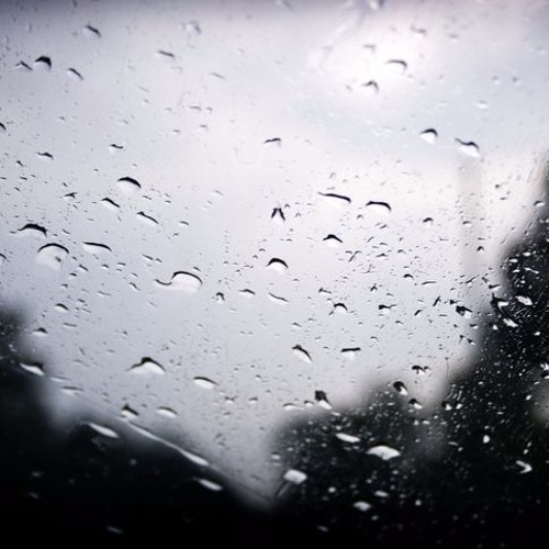 The Rain [Session I]