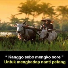 Lir ilir - Sunan Kalijogo