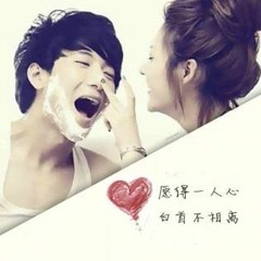 愿得一人心 Dj Remix