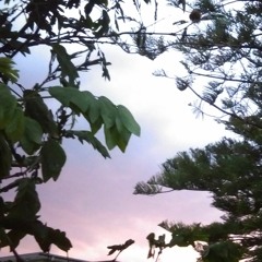 Twilight Driving (methyl ethel cover)