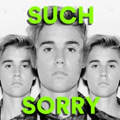SUCH SORRY (JUSTIN BEEBER EDIT)