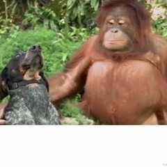 Unexpected Delight - Flying Lotus