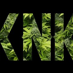 Lights, Camera, Action by AYO (prod. by PTE)