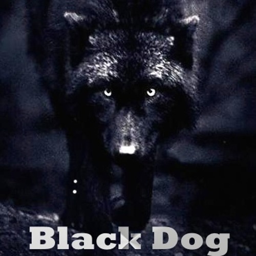 Black Dog / Cover Led Zeppelin / Paploviante