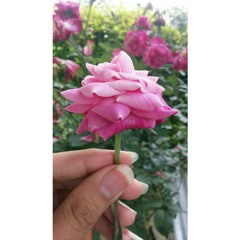 Loving You - pi7pella