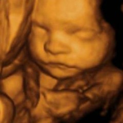 Ausschuss - Laboured (Maxin Edit)