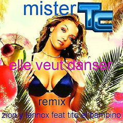 Elle veut danser(remix mister tc feat zion y lennox feat tito el bambino)