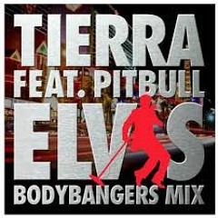 DJ SCYTHE Tierra Feat Pitbull - Elvis Edit