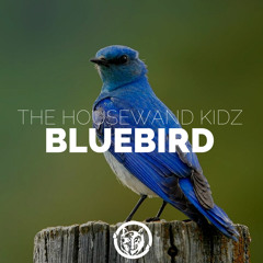 The Housewand Kidz - Bluebird (Original Mix)