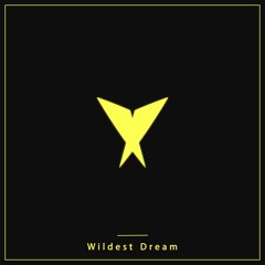 Level 11  -  Wildest Dream (Ft. Millie Tizzard)