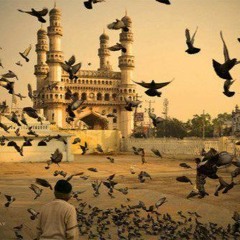 فقــد وقــع أجــره علـى الله -مؤثر #الحوينى