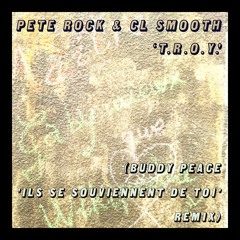 Pete Rock & CL Smooth - T.R.O.Y. (Buddy's 'Ils Se Souviennent De Toi' remix)