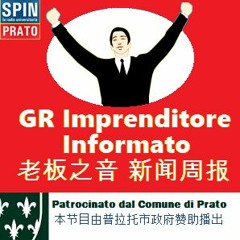 GR Imprenditore Informato 13/03/2016 (in lingua cinese)老板之音 新闻周报