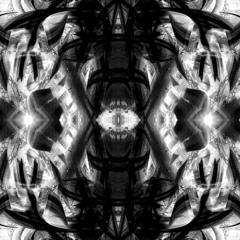 Vortex Of Entropy - Confidential call