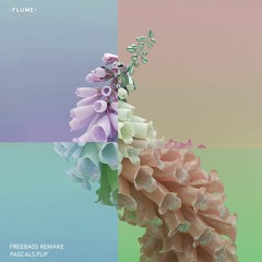 Flume - Skin (FreeBass Remake) [Wilson & Elliot Pascal Flip]
