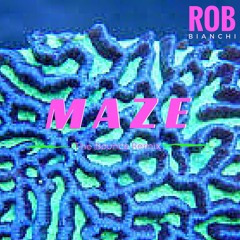 MAZE ( The Bounce Remix )