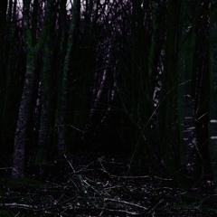 B. Hasemeyer & NumbersInTheDream - If We Were Dead