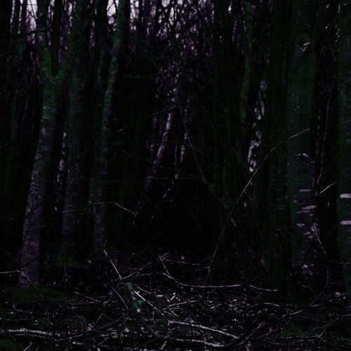 B. Hasemeyer & NumbersInTheDream - If We Were Dead