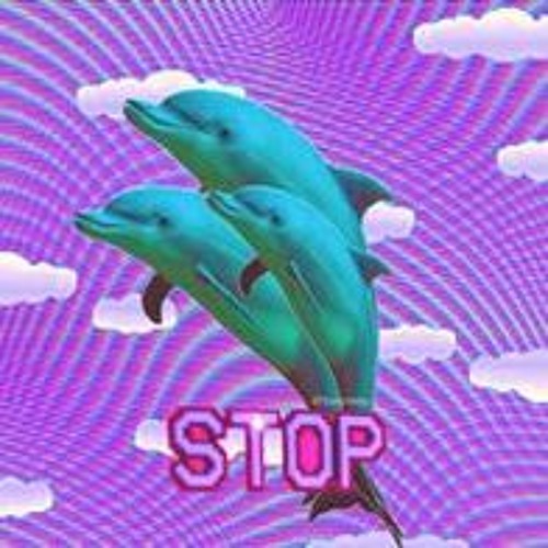 D o l p h i n  D e l u x e