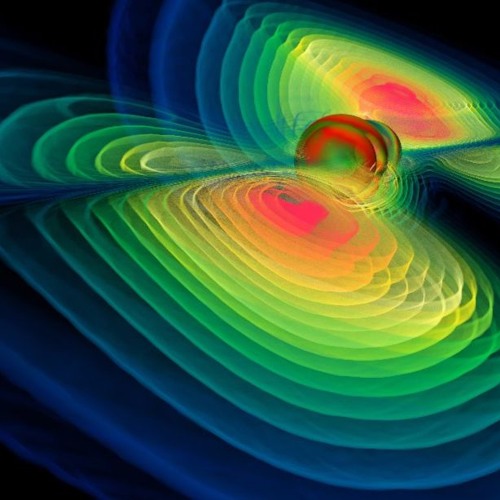 The Programmer - Gravimetric Neurogenesis