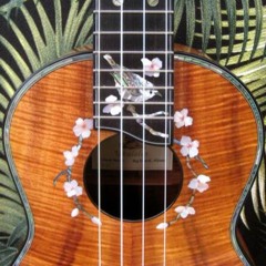 This Is Jake Shimabukuro