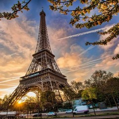 Alex The Guapo Flight To Paris 2016