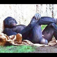 A Bit More on Human Thriving