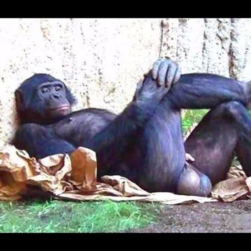 A Bit More on Human Thriving