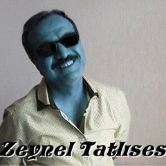 Zeynel Tatlıses - Denizlerin Dalgasıyım