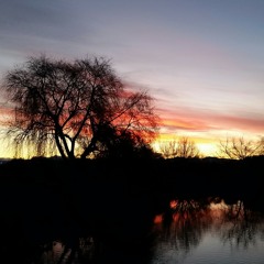 Love Where Is Your Fire? Brooke Fraser cover by Eilish and Danielle