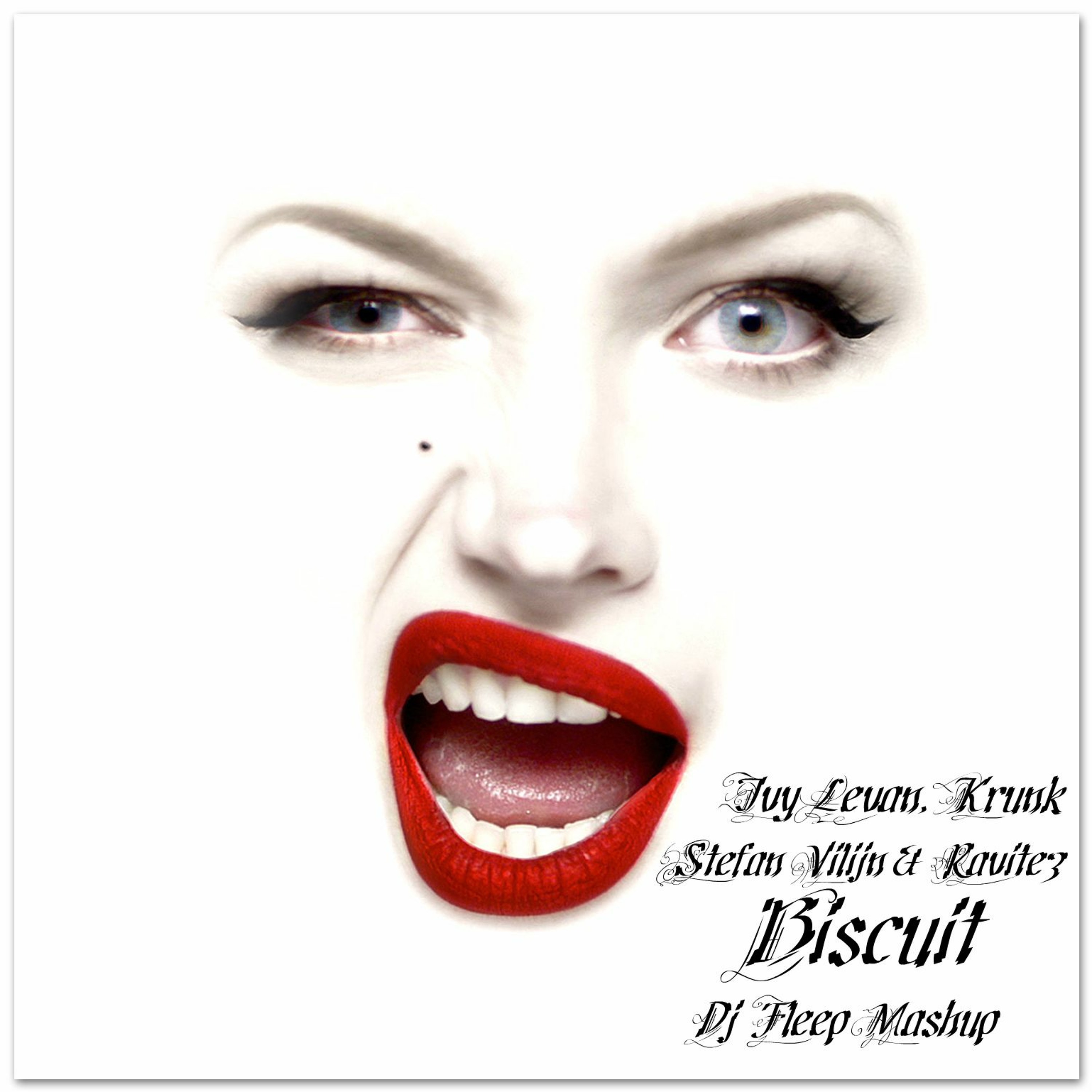 Ivy Levan, Krunk Vs. Stefan Vilijn & Ravitez - Biscuit (Dj Fleep Mashup) episode artwork