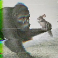 Gorilla Chinchilla [SOFTPORESUNDAYS V4]