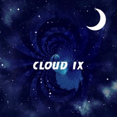 Never Cry Again x What Do You Mean - Dash Berlin x Justin Bieber (Cloud IX Mash up)