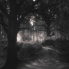 [REC 001] LIVE @ Attic 491