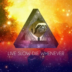 Live Slow, Die Whenever