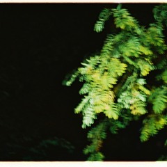Птичий бит - Энд ит брэйкс