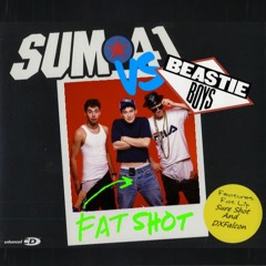 Fat Shot - Sum41 vs Beastie Boys