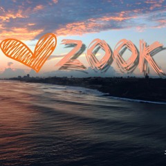 Zook - Remix