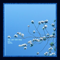 The Last Cold Snap .꽃.샘.추.위. (feat. Hee - Kwan, 404notfound)