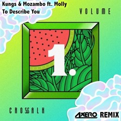 Mozambo & Kungs - To Describe You (Axero Remix)
