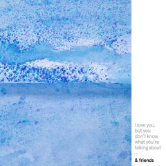 I Love You, But You Don't Know What You're Talking About