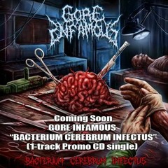 Gore Infamous - Bacterium cerebrum infectus