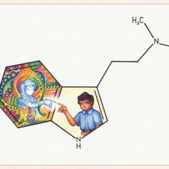 KAtmonkety - Jamming#1