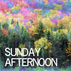 Waldmeister Feat Nathra - Sunday Afternoon Preview