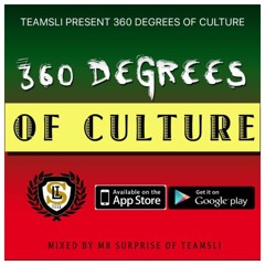 Team SLI 360 Degrees of Culture